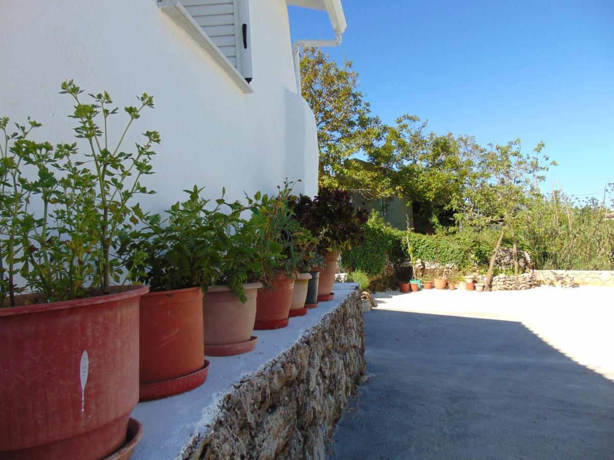 Bed and Breakfast Zante Hideaway II Nearby Shipwreck Ano Volimes Экстерьер фото