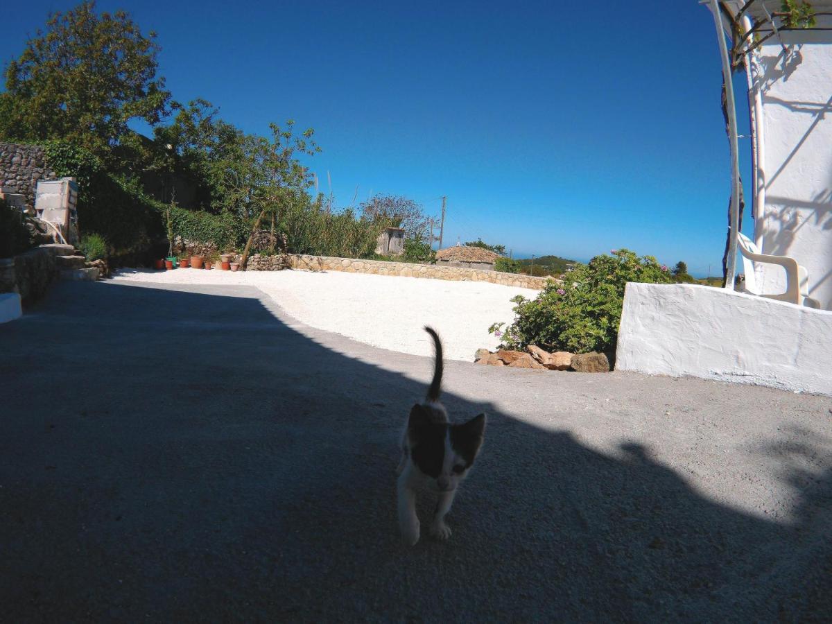Bed and Breakfast Zante Hideaway II Nearby Shipwreck Ano Volimes Экстерьер фото